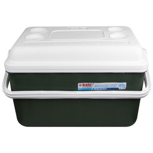SMALL REFRIGERATOR ISOTHERMAL  KALE THERMOS 241-00004 32LT COOLER BOX GREEN